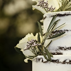 20 Wedding Cake Flavors That Will Delight Your Springfield Illinois Guests